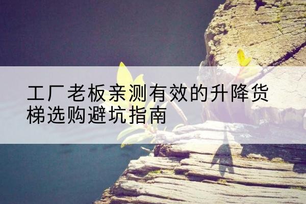肃宁升降货梯怎么选-工厂老板亲测有效的升降货梯选购避坑指南