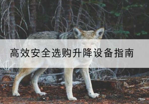 肃宁升降货梯厂家推荐-*安全选购升降设备指南