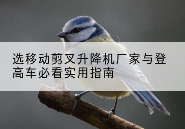 肃宁电动升降机厂家-选移动剪叉升降机厂家与登高车必看实用指南