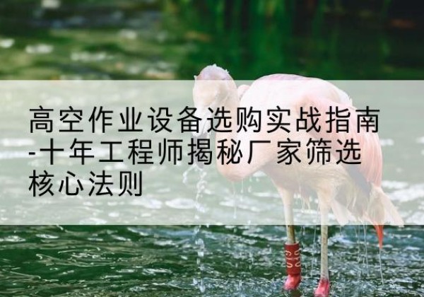 肃宁剪叉式升降机厂家-高空作业设备选购实战指南-十年工程师揭秘厂家筛选核心法则