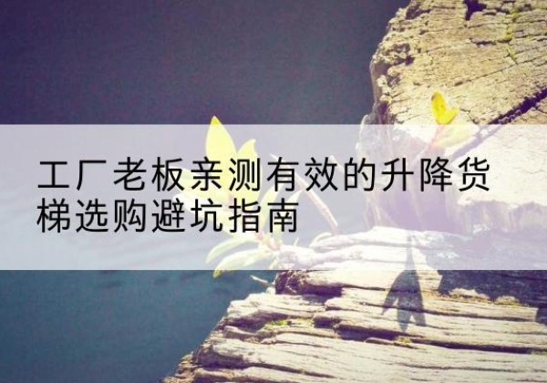 肃宁升降货梯怎么选-工厂老板亲测有效的升降货梯选购避坑指南